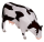 1734691470755-792.png